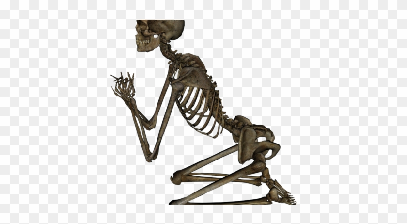 Skeleton Clipart Images - Esqueleto Anti Otaku Sticker #1748790
