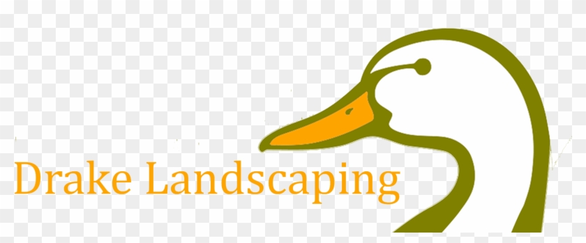 Drake Landscaping Service Drake Landscaping Service - Drake Landscaping Service Drake Landscaping Service #1748931