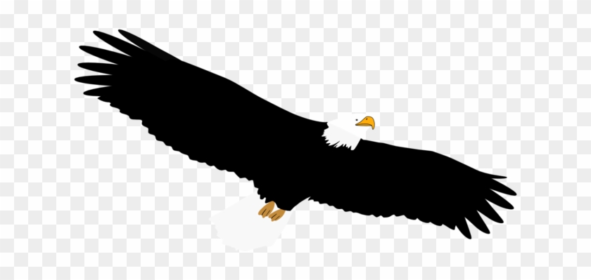 Eagle - Bald Eagle #1749332