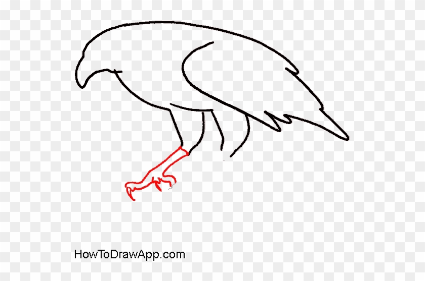 Image Royalty Free How To Draw An Easy By Steps - Draw An Eagle's Legs #1749333