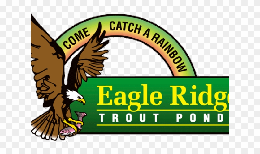 Golden Eagle #1749338