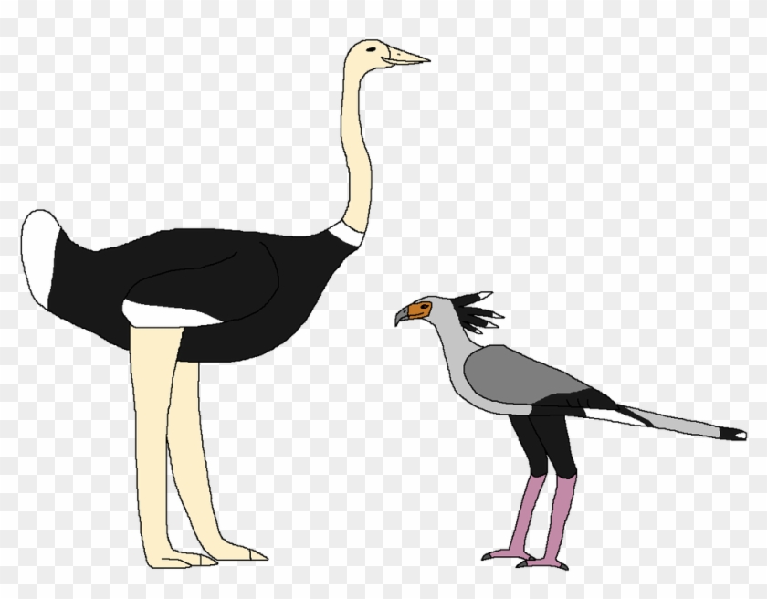 Long-legged Birds Of The Savanna By Wildandnaturefan - Ostrich #1749356