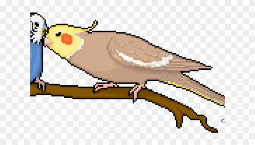 Budgie Clipart Pixel Art - Cockatiel Pixel Art #1749386