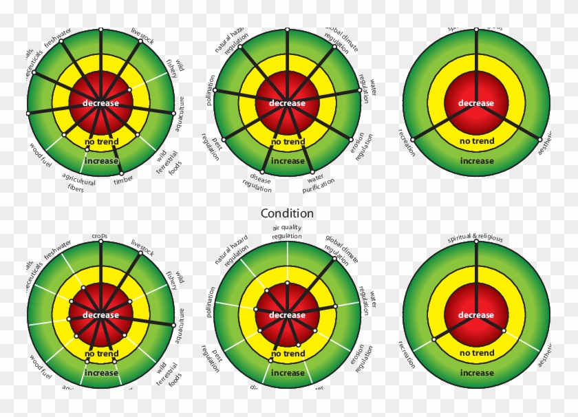 Trends In Human Use And Condition (lower) Of Ecosystem - Circle #1749412