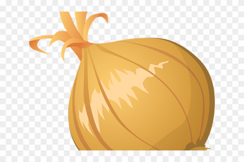 Onion Clipart Vector - Onion Art Transparent #1749434