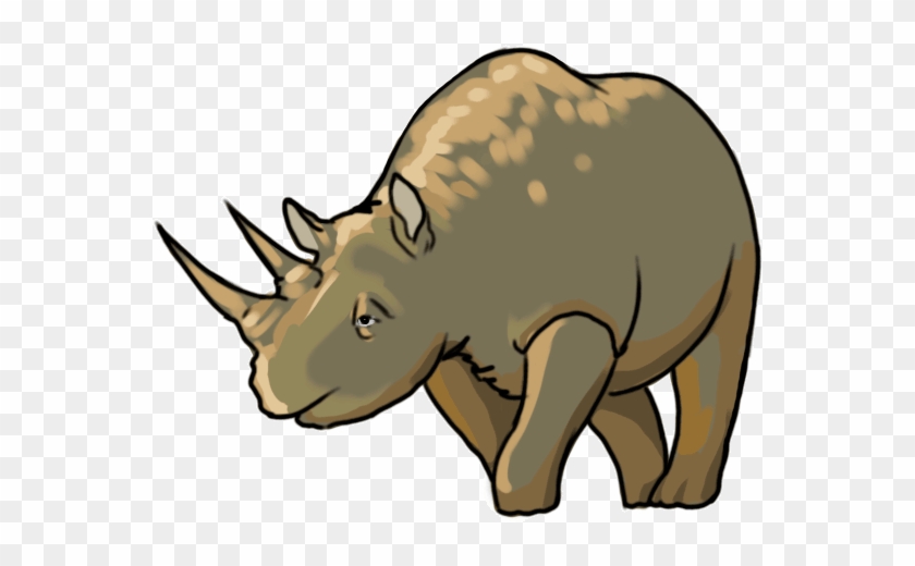 600 X 600 4 - Black Rhinoceros #1749506