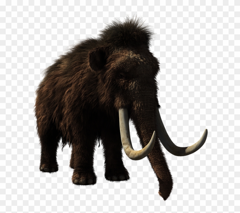 Woolly Mammoth #1749520