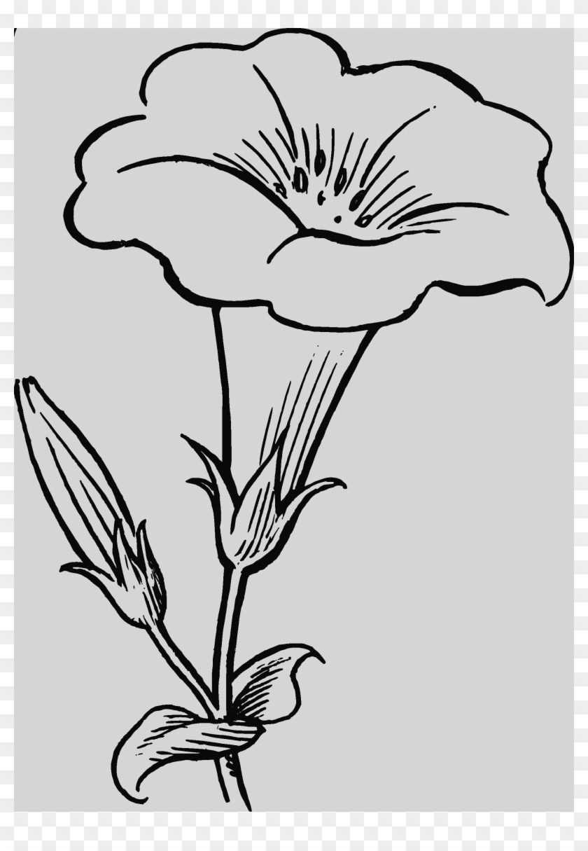 Best Clip Art For Yosemite Collection Best Clipart - Flower Line Art #1749536