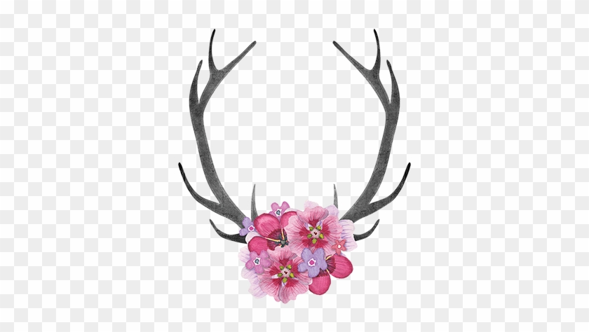 Antlers And Flowers Png - Deer Head Growing Flowers From Horns #1749544