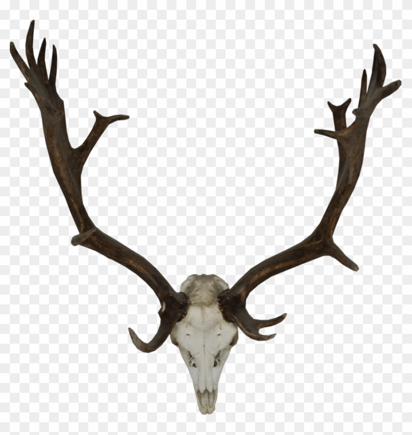 Reindeer Horns Transparent Png #1749545
