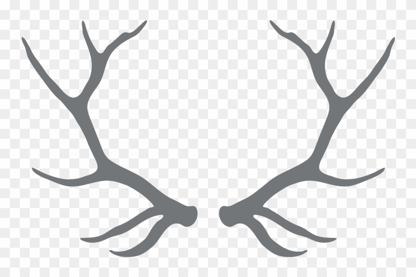 Drawn Antler Tangled - Transparent Antlers Png #1749546