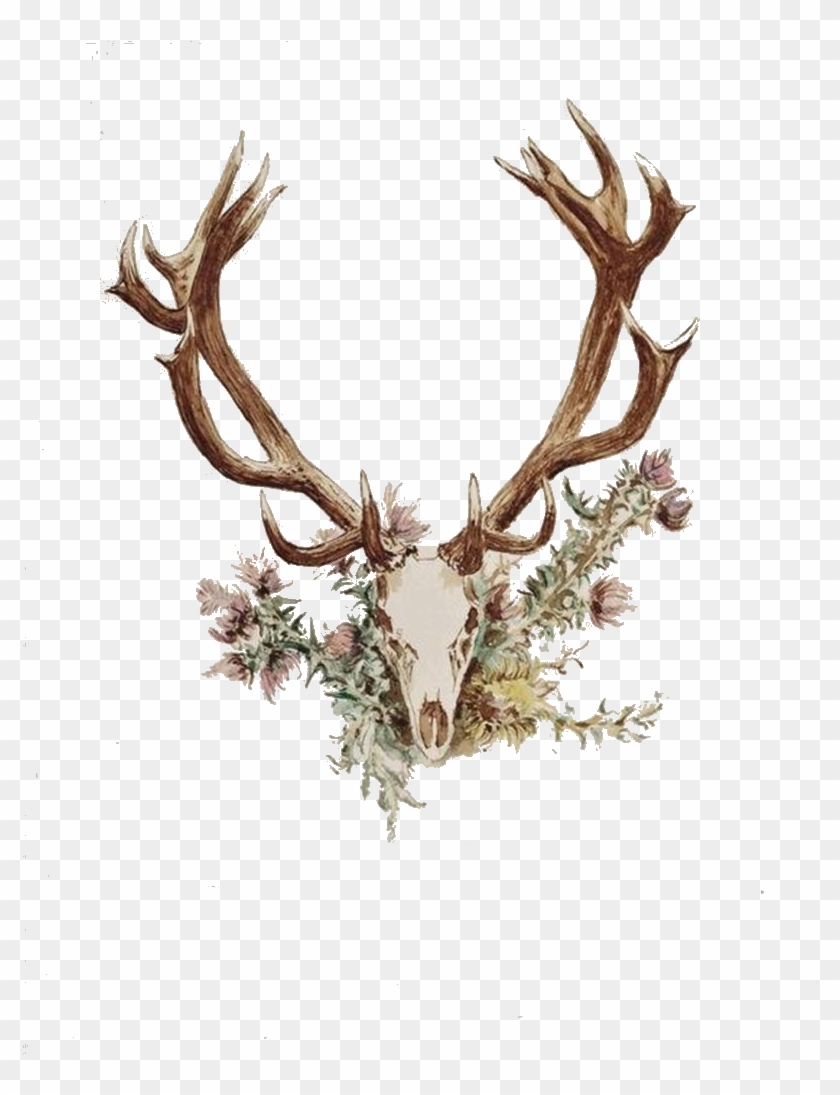 Antler Flower Horn Tattoo Wooden Angle - Deer Skull With Flowers Png #1749556