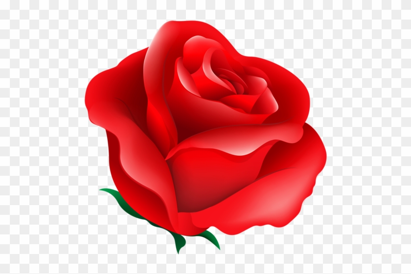 Christine Staniforth ♛༻ Red Roses, Flower Art, Paper - Rose Heart R #1749557