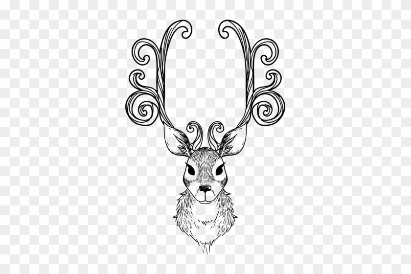 Pixabay Free Pictures, Free Images, Reindeer Silhouette, - Christmas Reindeer Colouring Pages #1749558