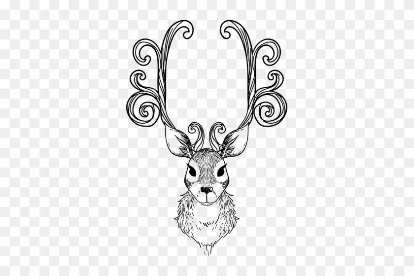 Pixabay Free Pictures, Free Images, Reindeer Silhouette, - Christmas Reindeer Colouring Pages #1749558