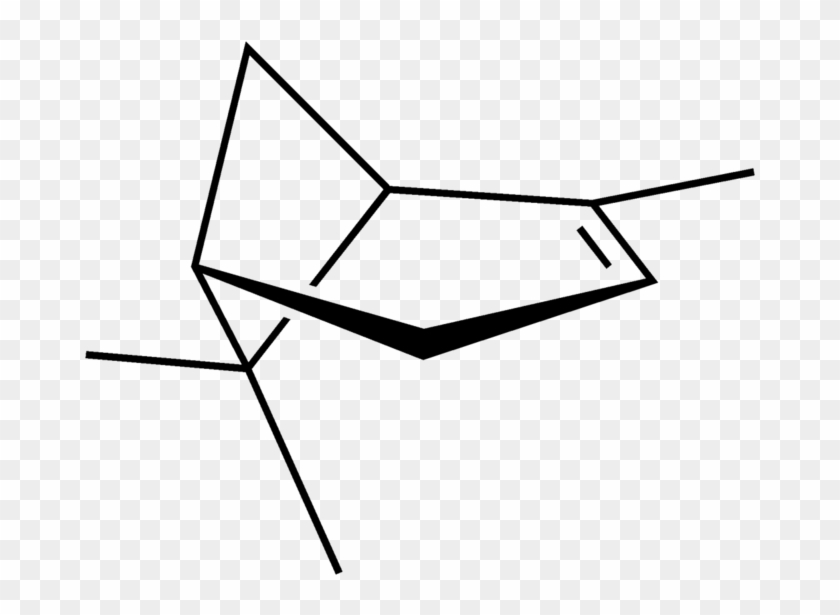 Alpha-pinene Gives Christmas Trees Their Smell - Beta Pineno #1749830