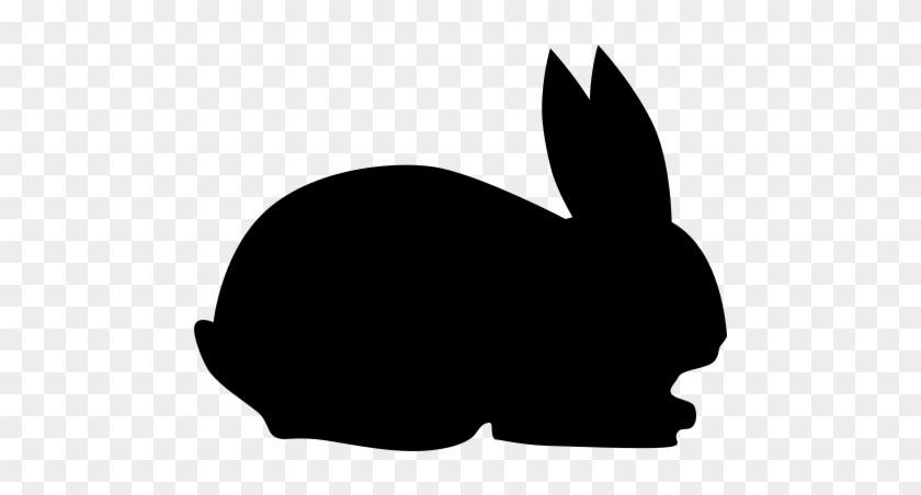 Rabbit - Rabbit #1749927