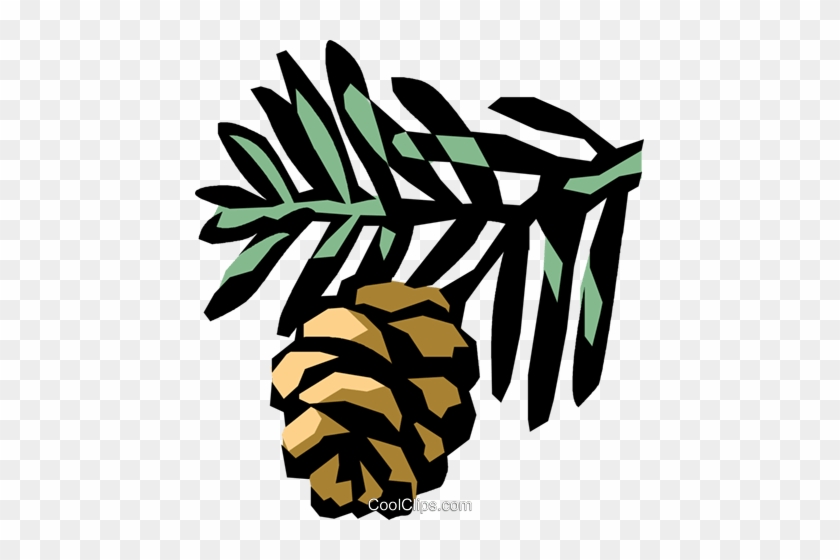 Conifer Royalty Free Vector Clip Art Illustration - Simple Pinecone Clipart #1750205