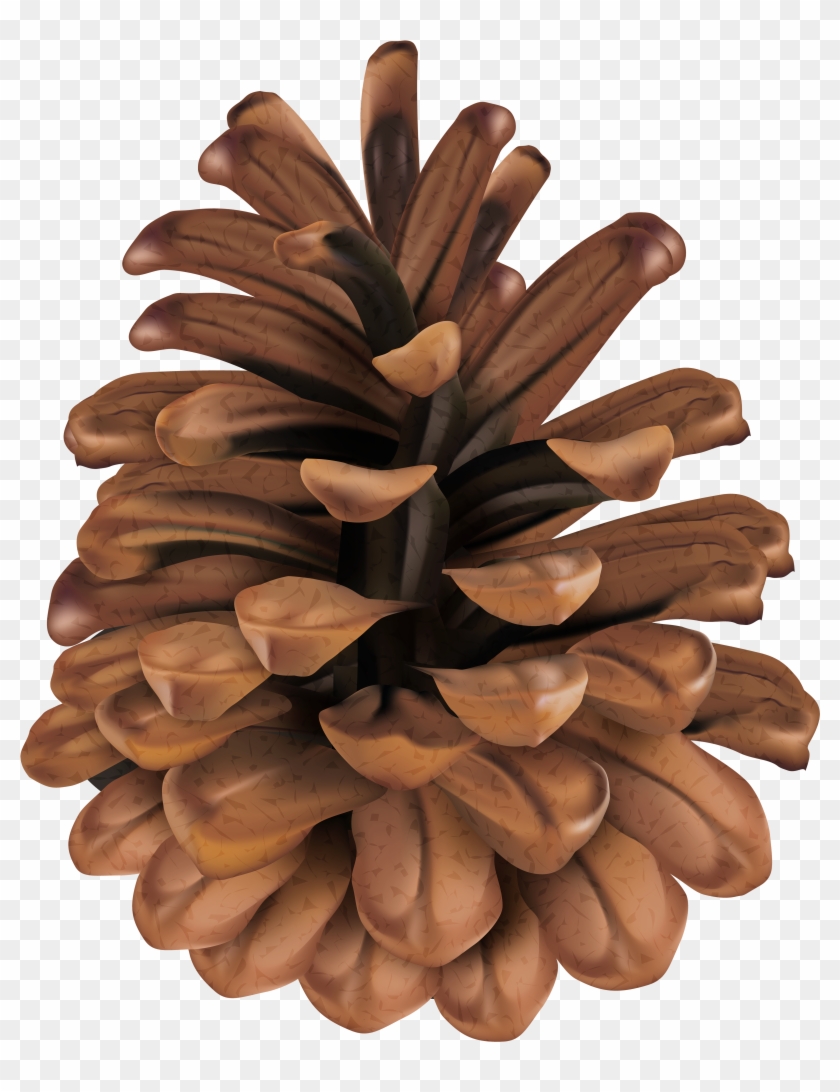 Clip Art , Png Download - Mexican Pinyon #1750215