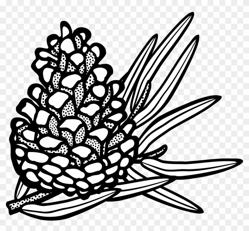 Vector Graphics,free Pictures - Pine Cone Clipart #1750218