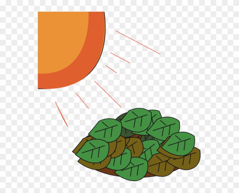 Attributions - Vegetable #1750253