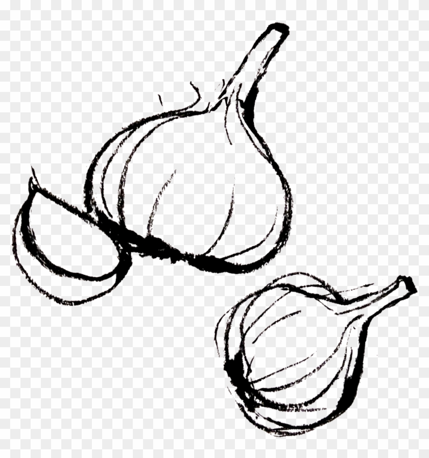 Collection Of Drawing Png High Quality Ⓒ - Elephant Garlic #1750357