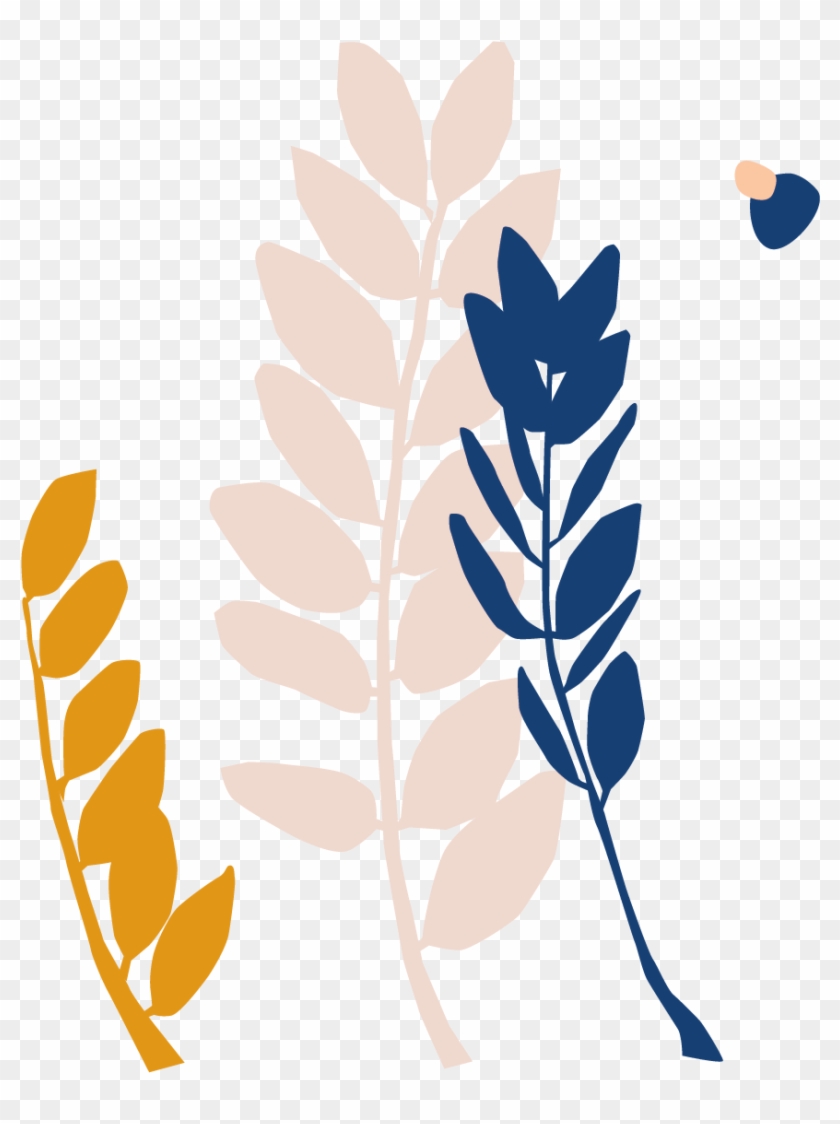 Botanical Name - Illustration #1750484