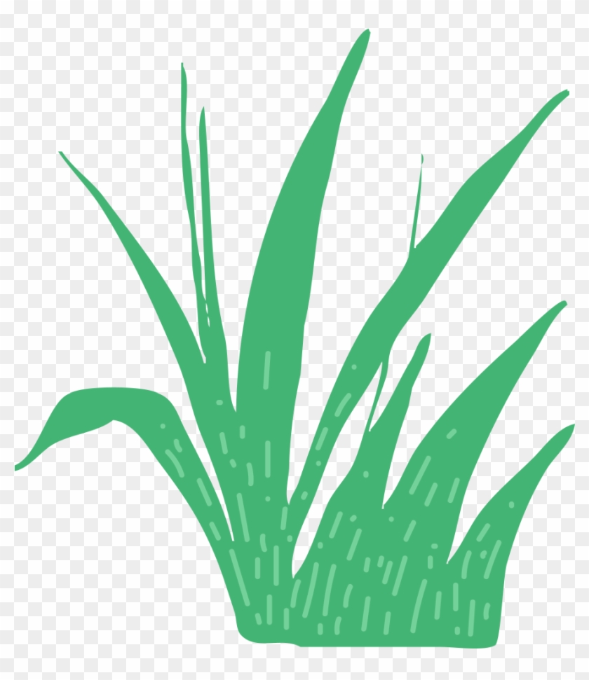 This Is A Sticker Of Grass - Agave Azul #1750490