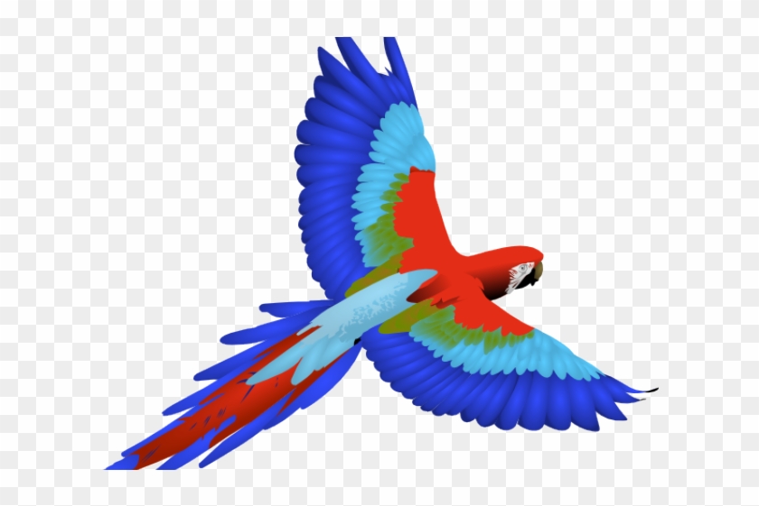 Parrot Clipart Jpeg - Bird With White Background #1750573