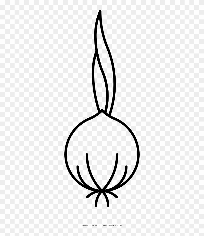 Onion Coloring Page - Line Art #1750911