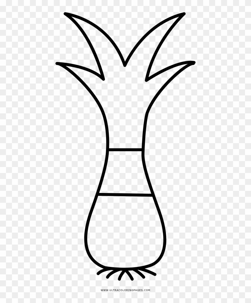 Onion Coloring Page - Line Art #1750931
