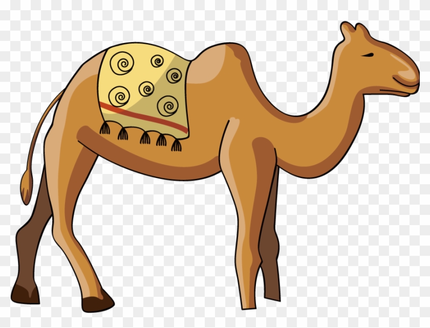 Arabian Camel #1751154