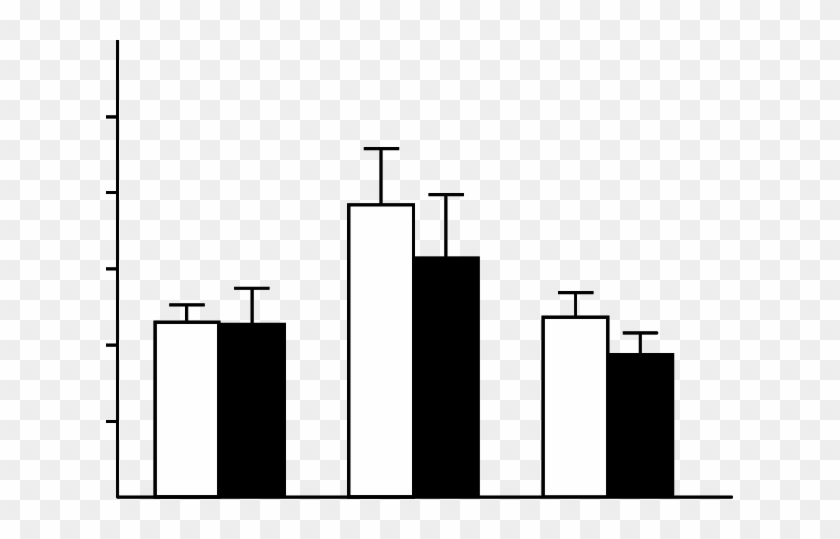 Concentration Of Circulating Testosterone In Blood - Diagram #1751186