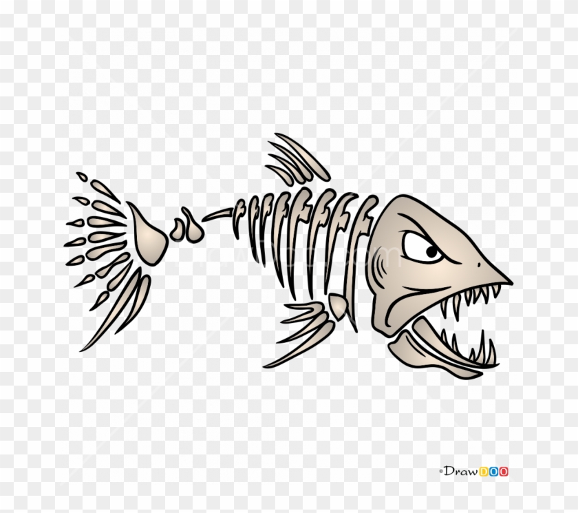 665 X 665 3 - Bony-fish #1751273