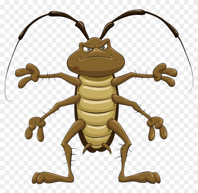 Cartoon Royalty Free Clip Art Transprent Royaltyfree - Angry Roach #1751449