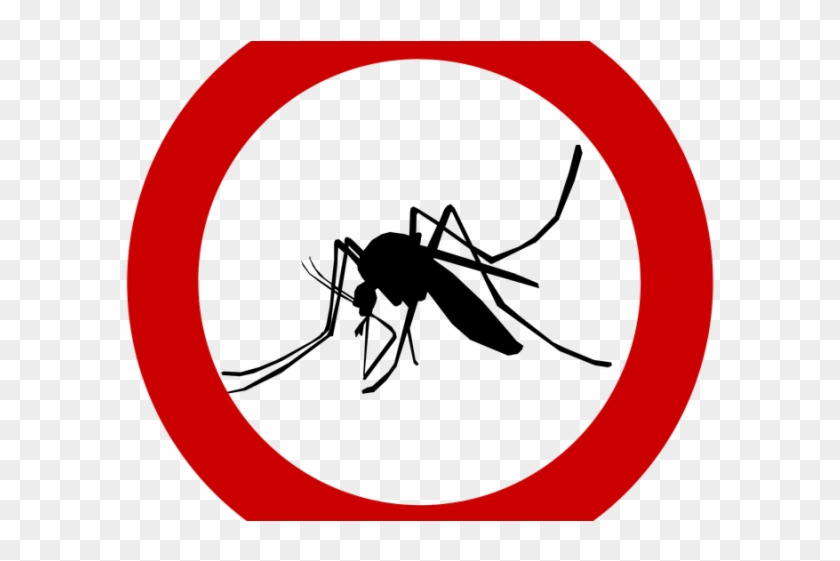 Mosquito Clipart Mosquito Control - Mosquito #1751451
