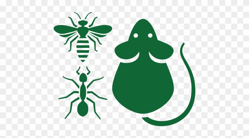 Pest Control Services - Bee Png Free Icon #1751452