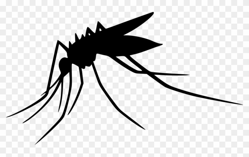 Download Free Png Dlpng - Mosquito Preto Febre Amarela #1751455