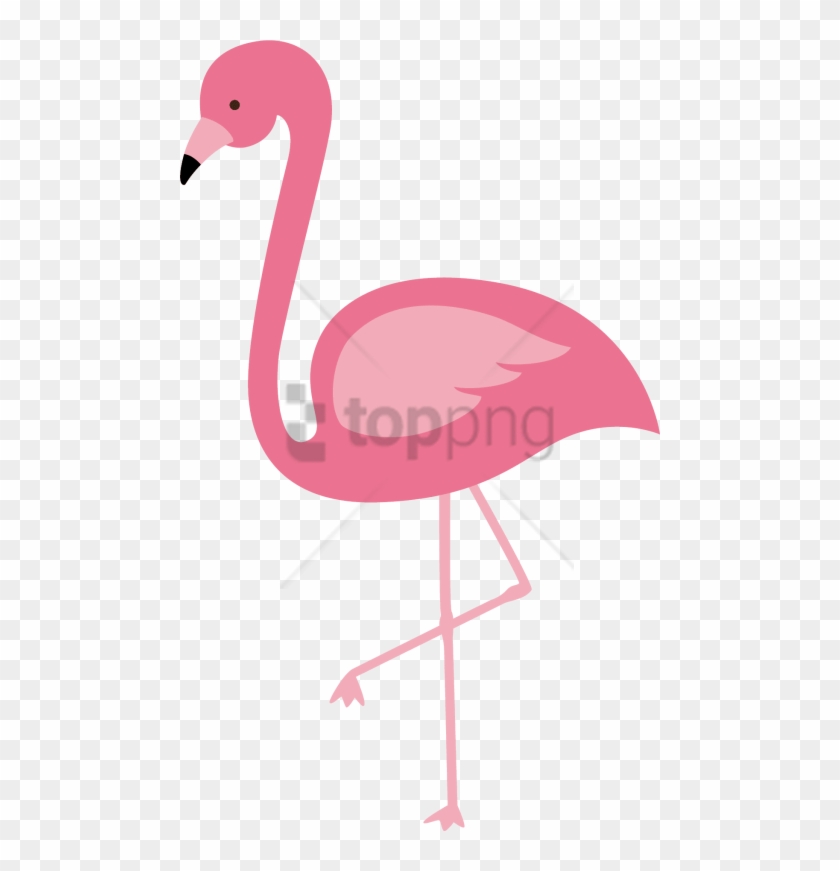 Free Png Flamingo Png Image With Transparent Background - Flamingo Vector Png #1751495