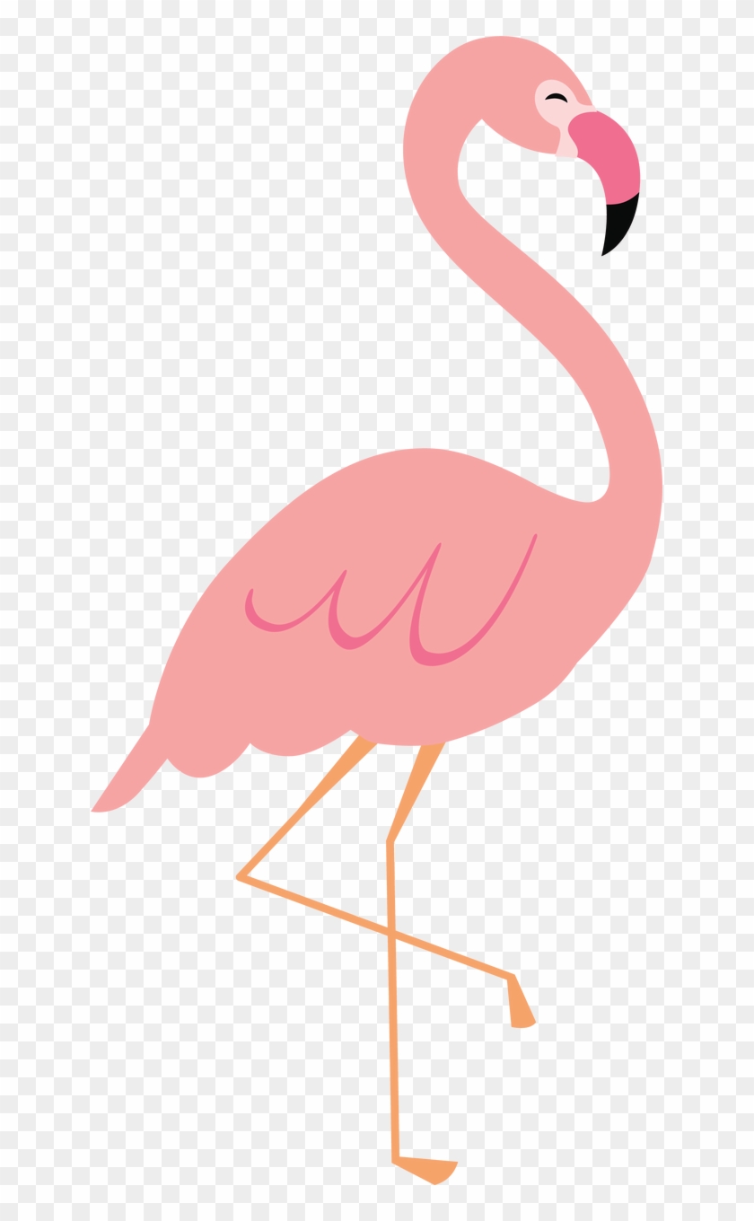 637 X 1280 3 - Greater Flamingo #1751497