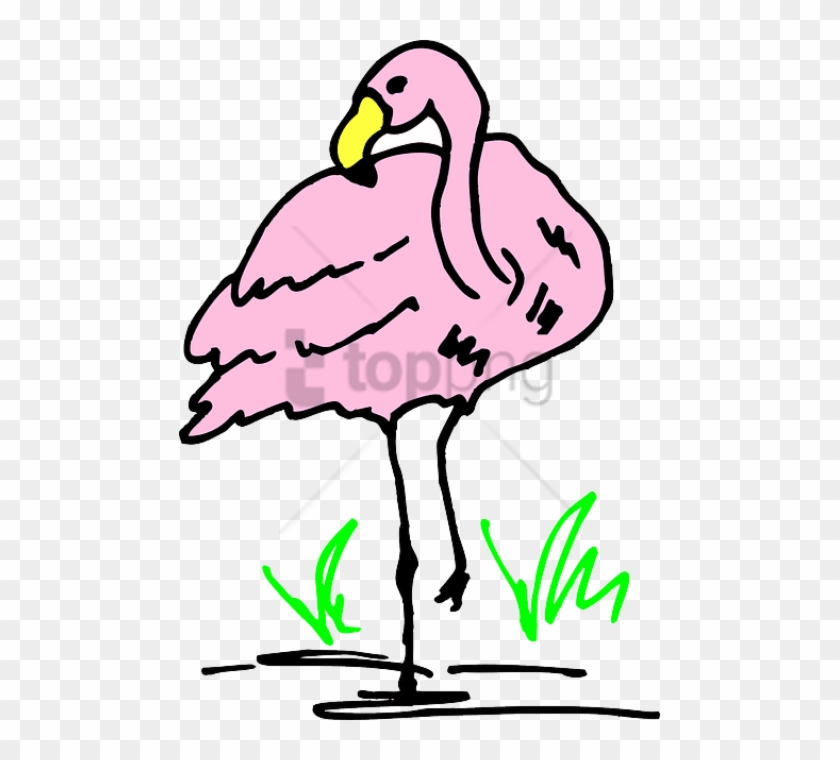 Free Png Download Flamingo Cartoon Png Images Background - Hewan Cartoon Png #1751498