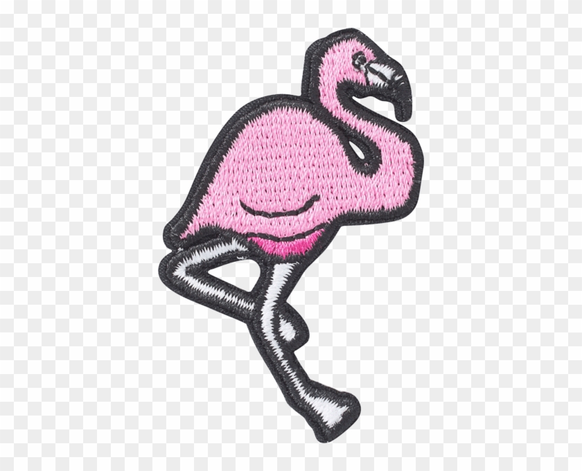 Greater Flamingo #1751508