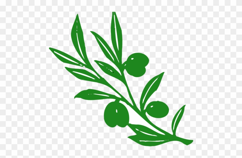 Leaf Clipart Olive Tree - Olive Tree Branch #1751608