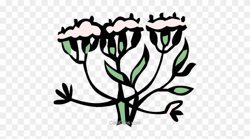Dill Royalty Free Vector Clip Art Illustration - Dill Royalty Free Vector Clip Art Illustration #1751611