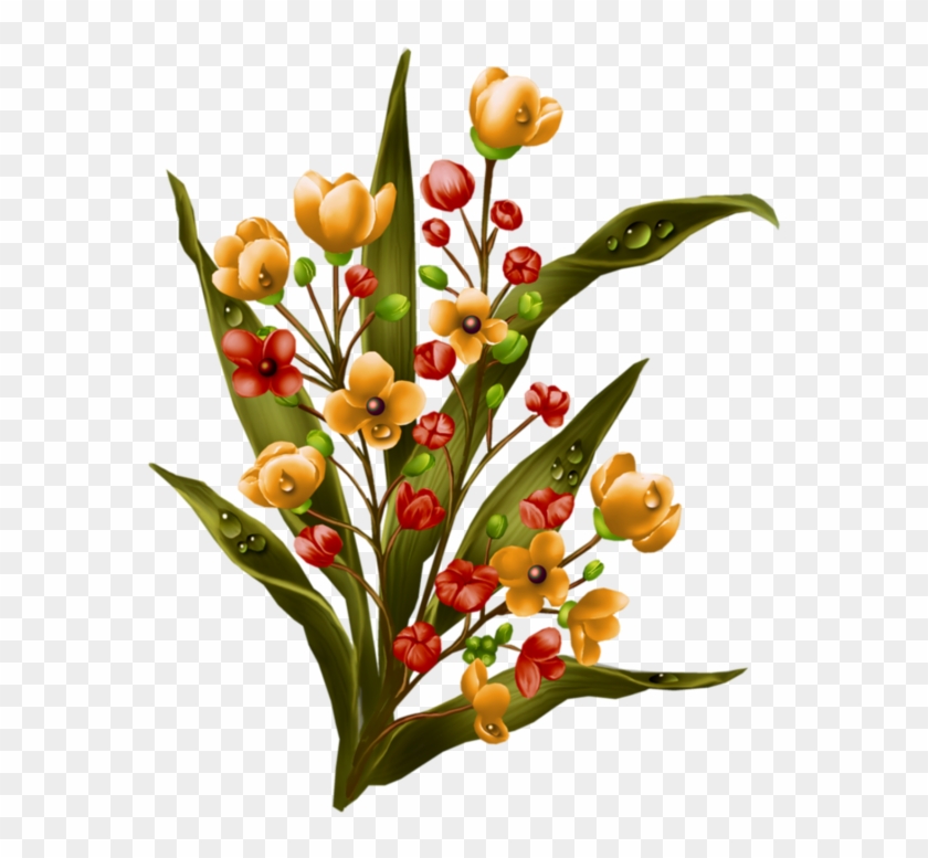 Цветы Shabby Chic, Virágok - Tulipa Humilis #1752264