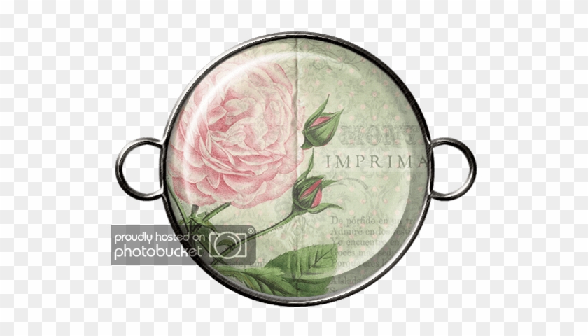 Shabby Chic Brad2 - Peony #1752278