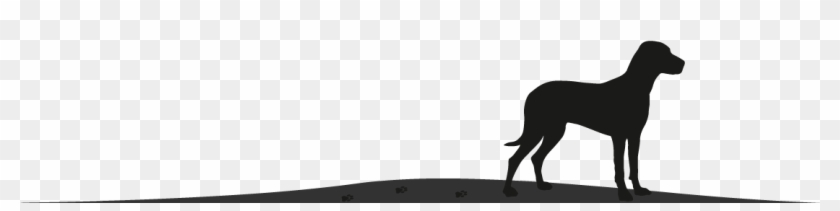 Footer Dog Image - Dog Catches Something #1753339