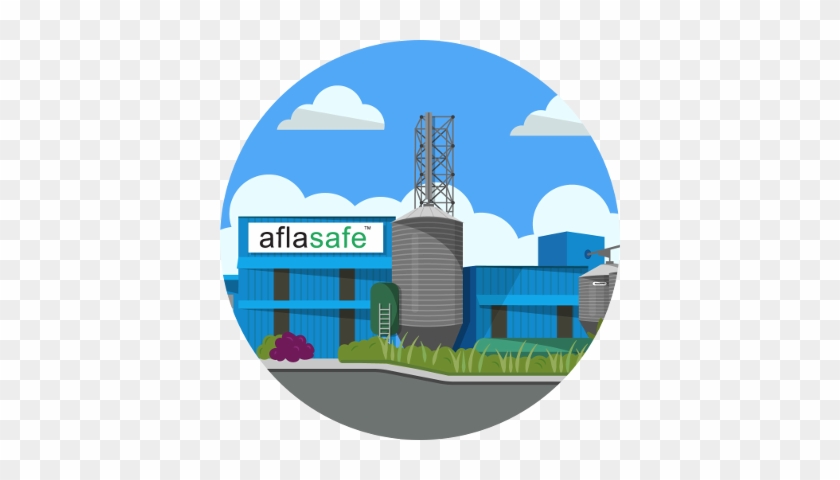 Aflasafe Is Made In Africa Using Locally Sourced Materials - House #1753522