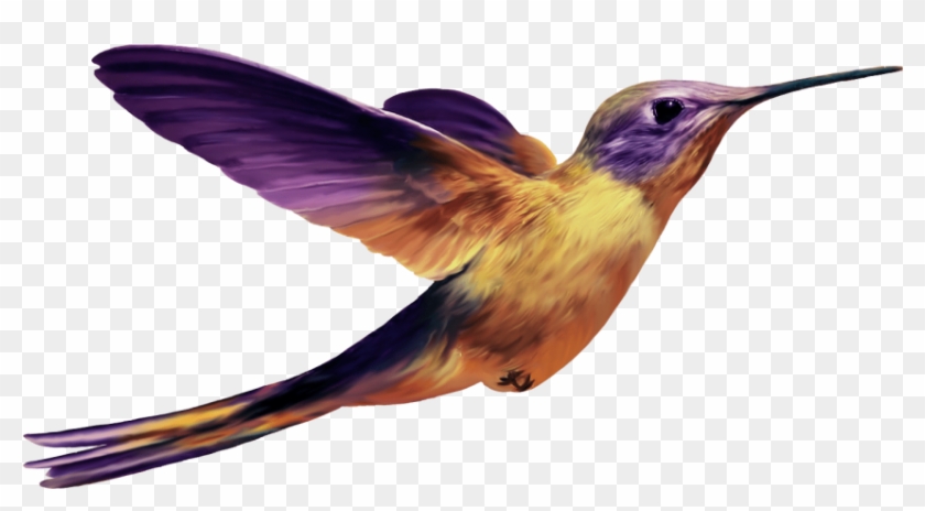 850 X 430 2 - Purple Hummingbird Png #1754515