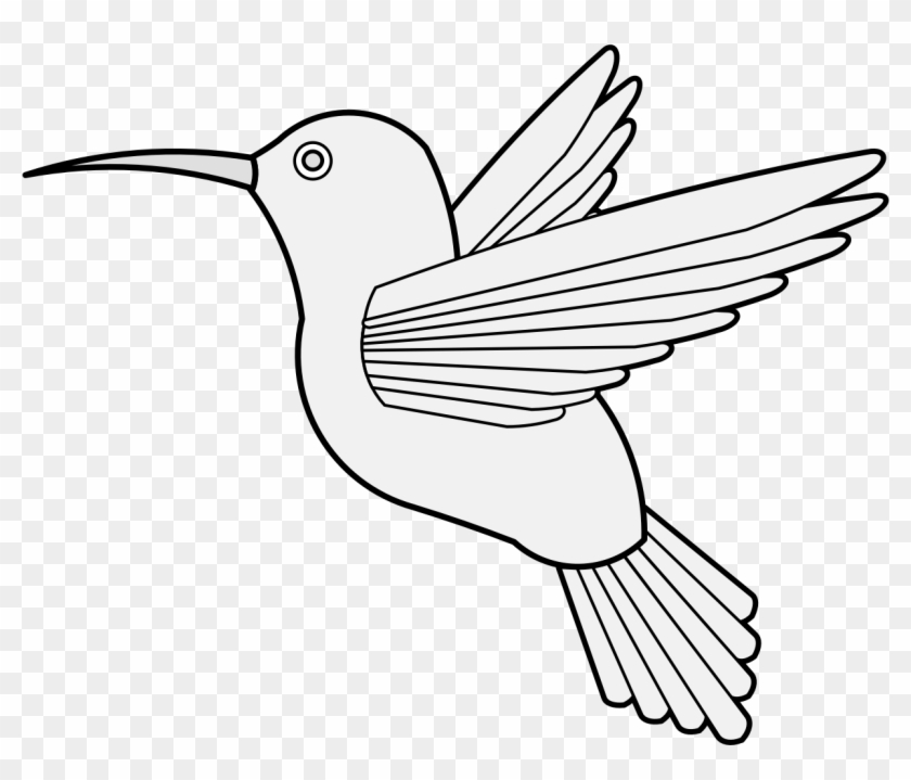 Hummingbird Rising - Heraldic Hummingbird #1754519